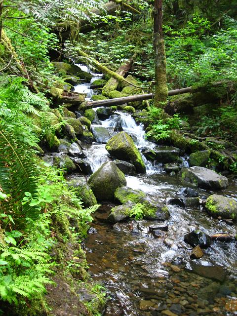 Eagle Creek-118.JPG - Eagle Creek